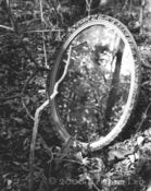 Image of Mirror