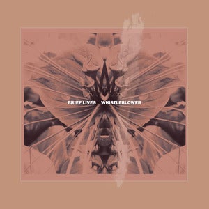 Image of Whistleblower 7"