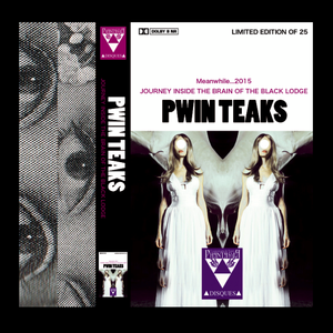 Image of [LIMITED 25] PWIN TEAKS - Meanwhile 2015 CS