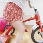 Image of Sandpiper Shorts