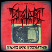 Image of wizwars - gameboy gutsfuck
