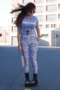 Image of Zebra Zebra