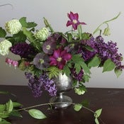 Image of Berry tones