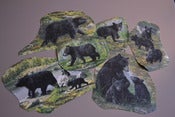Image of Appliqués animal sauvage ours