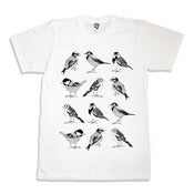 Image of BIRD CHART