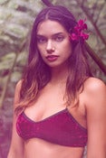 Image of Velvet Rose Valentine Bralette