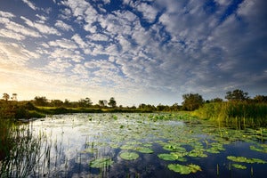 Image of 747