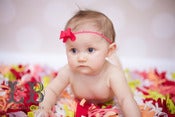 Image of Bow Headband/Clip