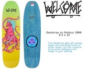 Image of Seahorse on Nimbus 3000 8.5