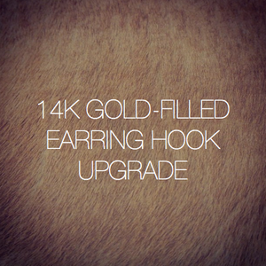 Image of 14K Gold-Filled Earring Hook Upgrade