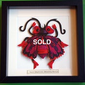 Image of Caped Raspberry Raindrop Beetle