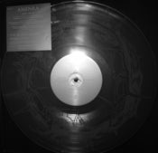 Image of AMENRA & THE BLACK HEART REBELLION 12" LP