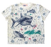 Image of Shark T