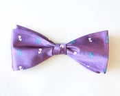 Image of Raribow-tie