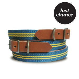 Image of LAST CHANCE! Old School Collar - Stripe 102 