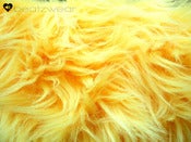 Image of NEON Yellow