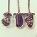 Image of Taxidermy glass dome necklaces.