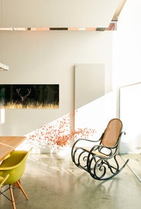Image of Denmark - Deer