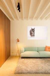 Image of Norway - Lynx