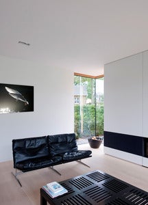 Image of Norway - Gull