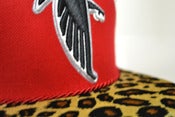 Image of Falcons Fresh