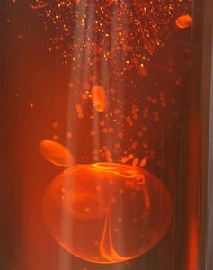 Image of 4 in 1 Gel New Size!~ 4 oz ~ Summer