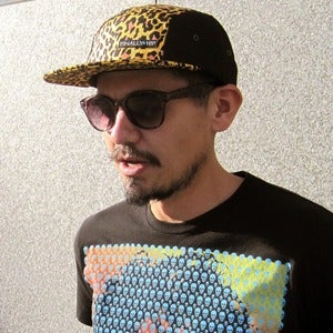 Image of El Leopardo 5 Panel