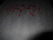 Image of Ash Borer, full length 12" LP - Repressing