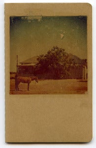 Image of Horse 3.5" X 5.5" Blank Journal
