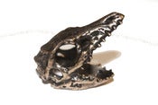 Image of Archaeopteryx Skull Ring
