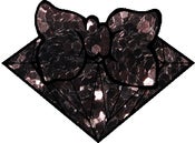 Image of ESPRESSO GLITTER