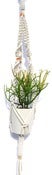 Image of Colorblock Macrame Plant Hanger