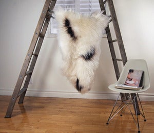 Image of Large Spotted Sheepskin SP-151