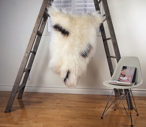 Image of Large Spotted Sheepskin SP-150
