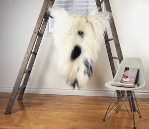 Image of Large Spotted Sheepskin SP-145