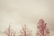 Image of "exhale" print