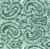 Image of Green Paisley Sheets