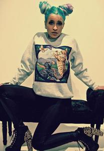 Image of Applique Cat Kitten Floral Butterfly Gray Jumper