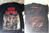 Image of Stages of Decomposition Shirt "Piles of Rotting Flesh"  