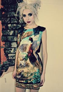 Image of Pheasant Bird Print Black Lace Collar Dress