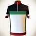 Fausto Cycling Jersey - European Merino Wool