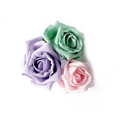 Image of Whole Lotta Rosie Hairclip - Icecream