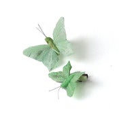 Image of Feather Glitter Butterfly Clips - Apple