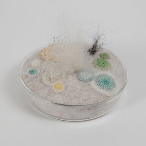 Image of Petri dish in felt with crochet moulds