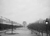 Image of The Louve from Jardin des Tuileries