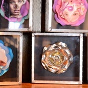 Image of Boxed Ramilettes