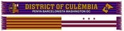 Image of Official PBWDC Scarf