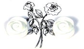 Image of White Rose Earrings Large