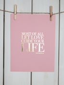 Image of PINK & GOLD COLOSSIANS