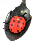 Image of Mounted Lady Bird Brooch by Greg Mann
